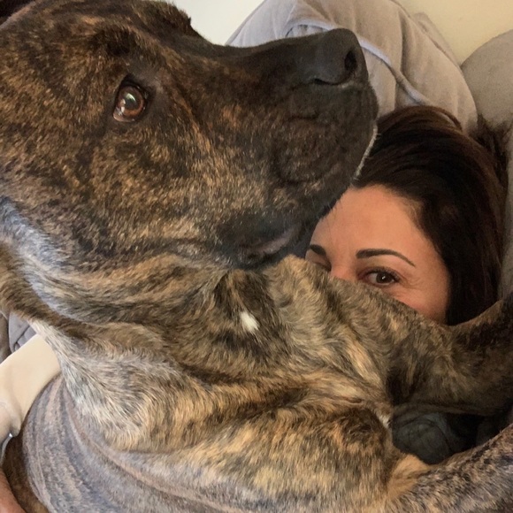 Meet your Posher, Terry - Picture 2 of 6